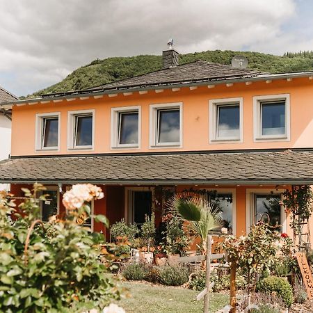 Wein- Und Gaestehaus Schwaab&Sohn Erden المظهر الخارجي الصورة