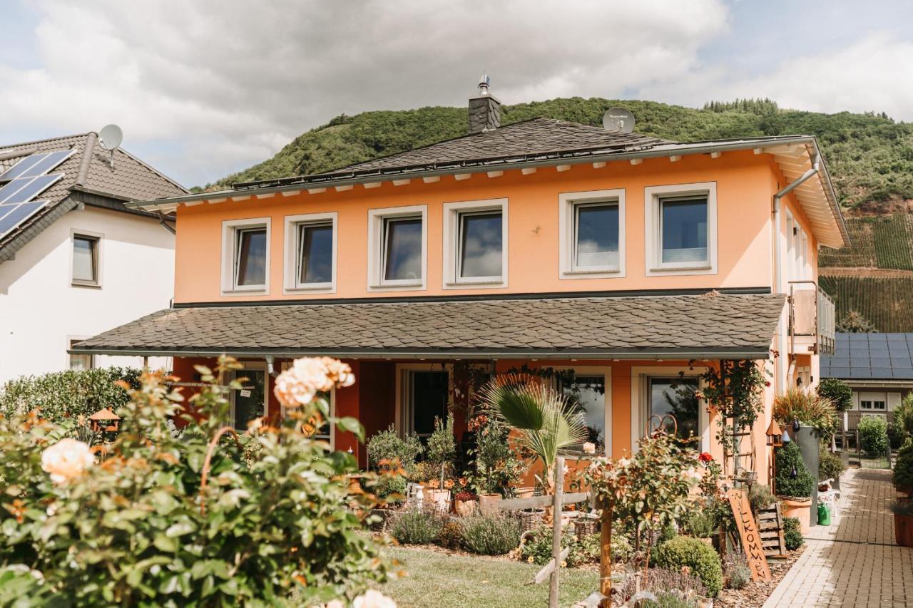 Wein- Und Gaestehaus Schwaab&Sohn Erden المظهر الخارجي الصورة