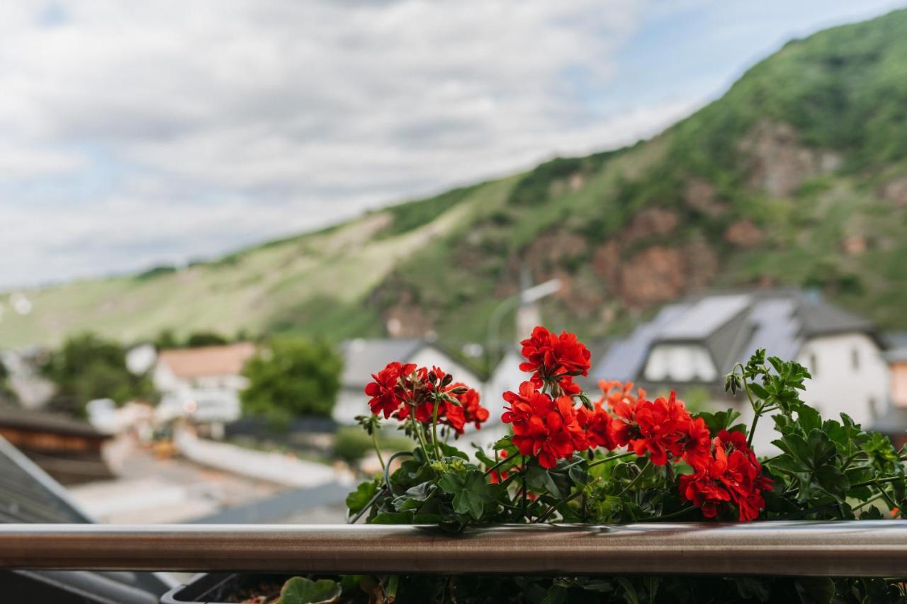 Wein- Und Gaestehaus Schwaab&Sohn Erden المظهر الخارجي الصورة